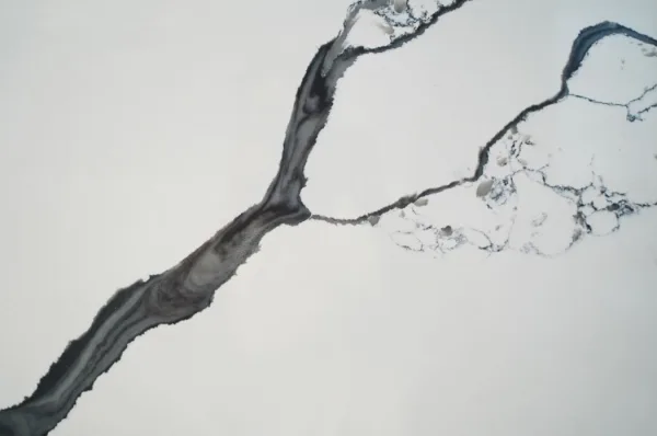 quartz calacatta 1009 detail