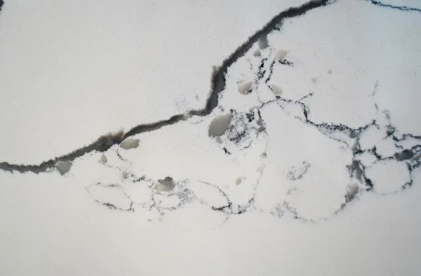 quartz calacatta 1009 detail