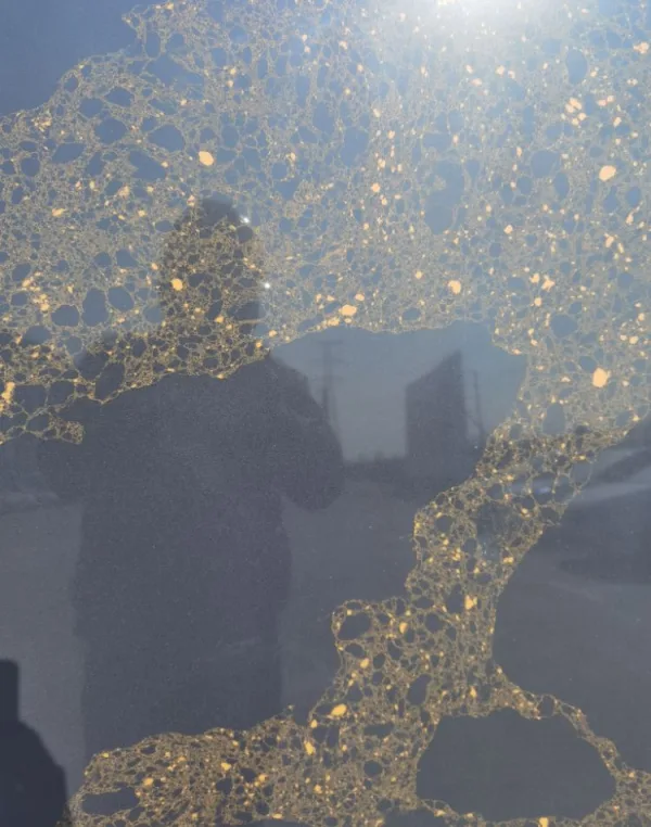 Quartz Stone Calacatta Black 6873 detail