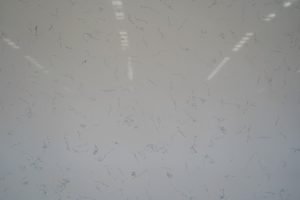 Quartz Stone Carrara Whisper Detail 1