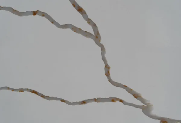 quartz stone calacatta 6204 Detail