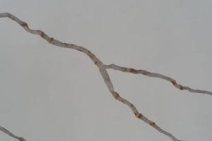 quartz stone calacatta 6204 Detail