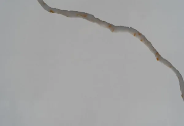 quartz stone calacatta 6204 Detail