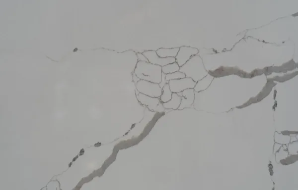 quartz stone 6204 detail