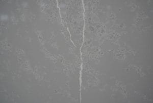 quartz stone calacatta 6864 detail 1