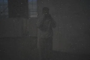 quartz stone diamond crystal grey ES1209 detail