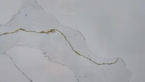 Quartz Calacatta 0217 Slab Detail 1 Horizon