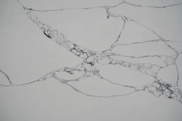 Quartz Calacatta 1126 Surface Detail 1 Horizon