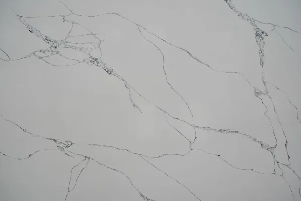 Quartz Calacatta 1126 Surface Detail Horizon
