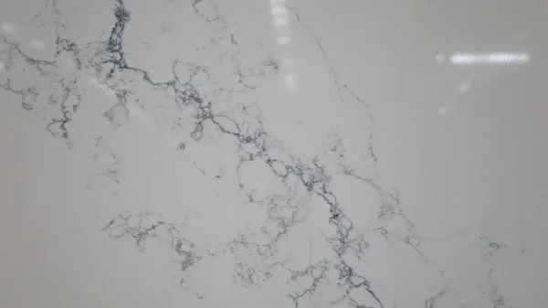 Quartz Calacatta 6069 Detail 1 Horizon