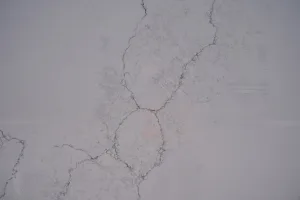 Quartz Calacatta 6107 Surface Detail Horizon