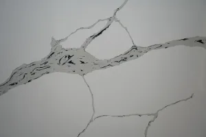 Quartz Calacatta 6890 Slab Detail 1 Horizon