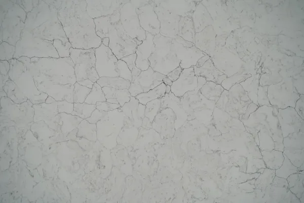 Quartz Calacatta 6895 Surface Detail 2 Horizon