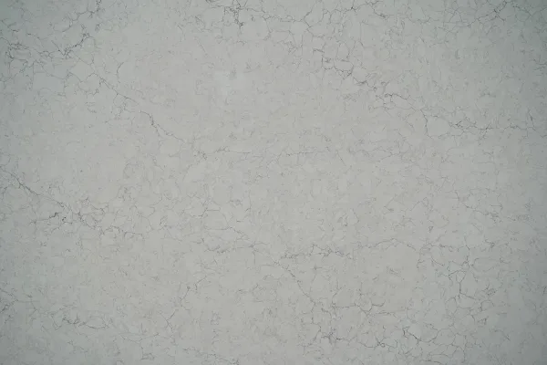 Quartz Calacatta 6895 Surface Detail Horizon