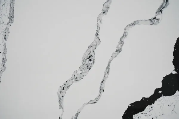 Quartz Calacatta 7000 Surface Detail 2 Horizon