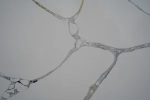 Quartz Calacatta 9002 Surface Detail 1 Horizon