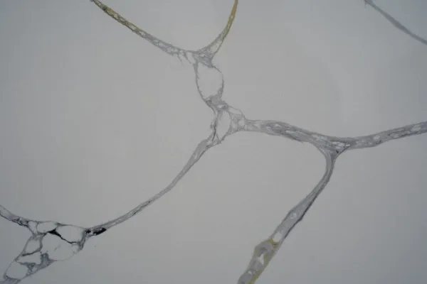 Quartz Calacatta 9002 Surface Detail 1 Horizon