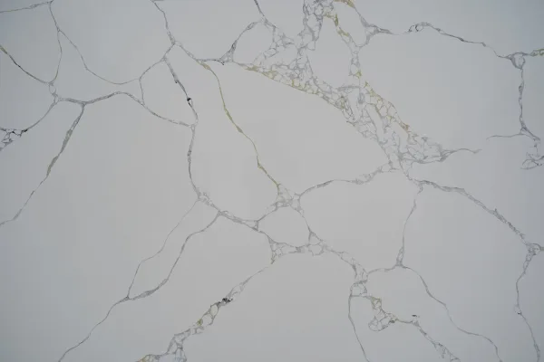 Quartz Calacatta 9002 Surface Detail Horizon