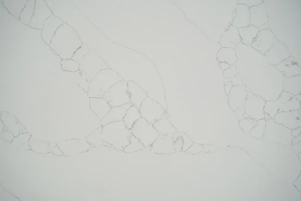 Quartz Calacatta 9013 Surface Detail 1 Horizon